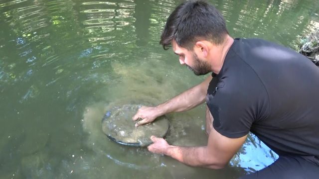 Altın avcısı Türkiye’nin derelerinden her gün 5 gram altın çıkarıyor