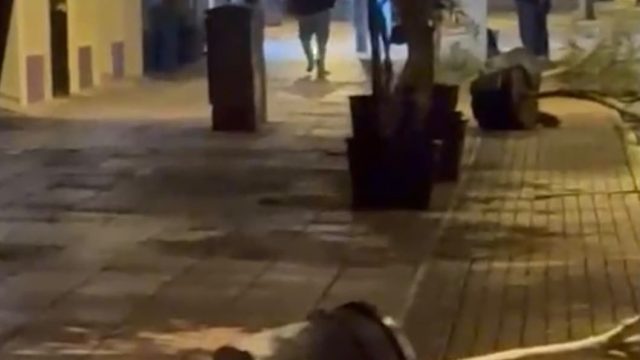 Yol kenarındaki saksıları tek tek devirerek yürüdü