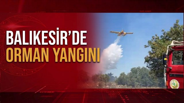Balıkesir’de orman yangını