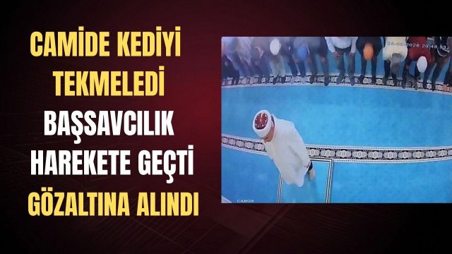 Camide kediyi tekmeleyen şahsa sosyal medyada tepki yağdı, şahıs gözaltına alındı