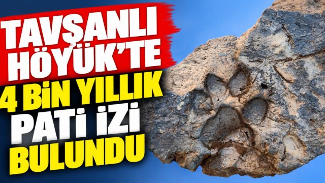 Bakan Ersoy duyurdu: Tavşanlı Höyük’te 4 bin yıllık pati izi bulundu