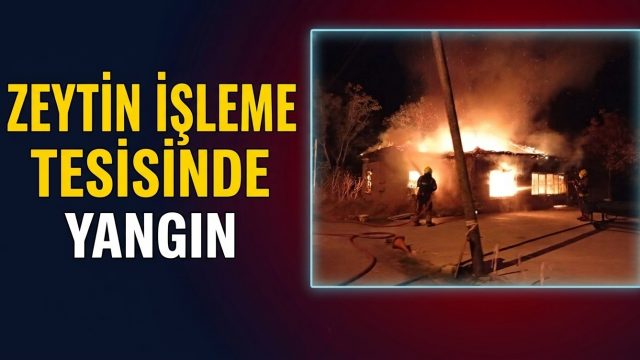 Zeytin işleme tesisinde yangın